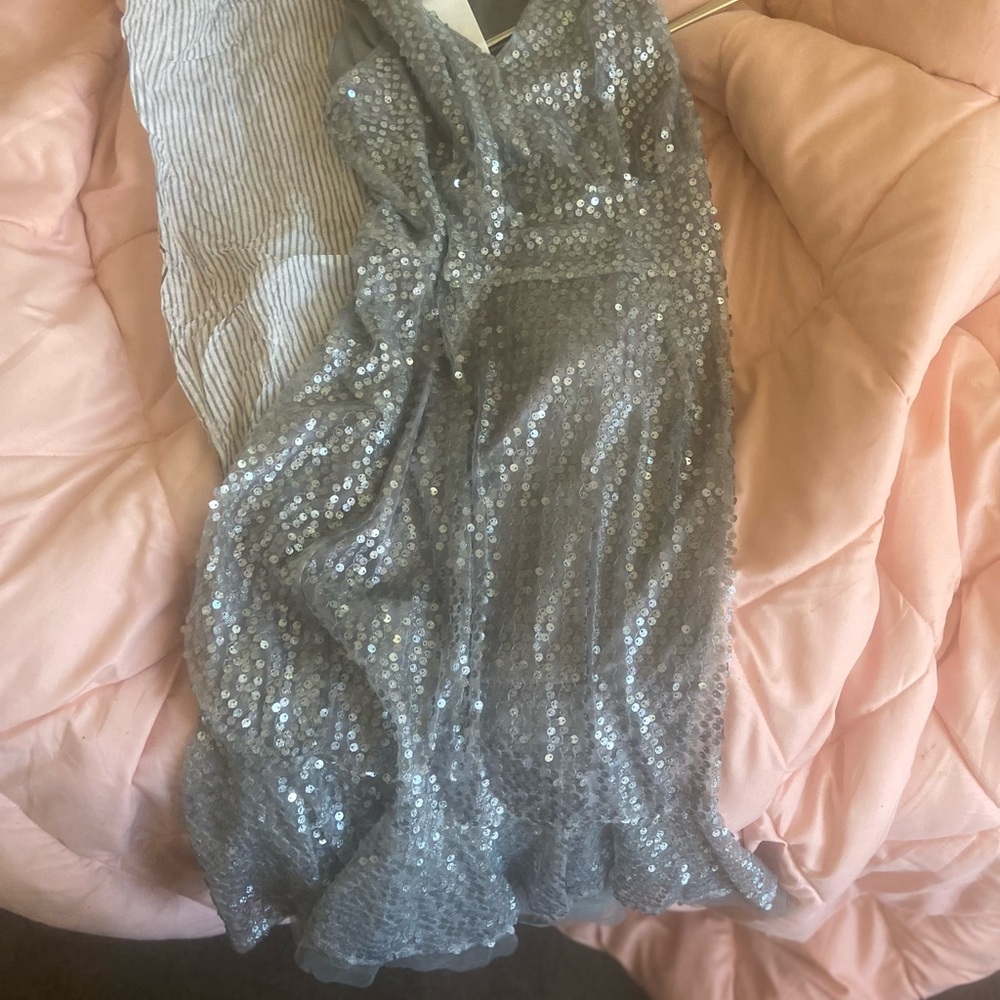 Grey Sequins Walter Baker Dress